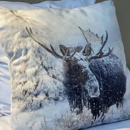 Vasa روفانييمي